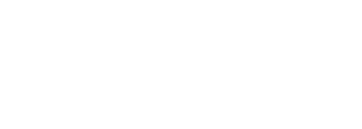 Accelerist